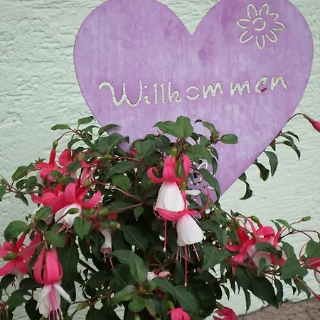 Gaestehaus Huber Fruehstueckspension Schladming