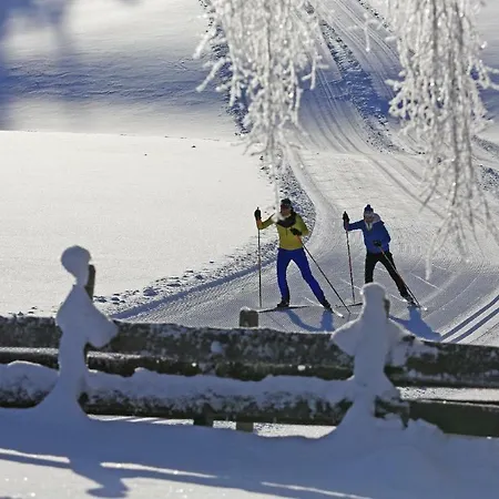Accommodatie bij particulieren Gaestehaus Huber Fruehstueckspension Schladming