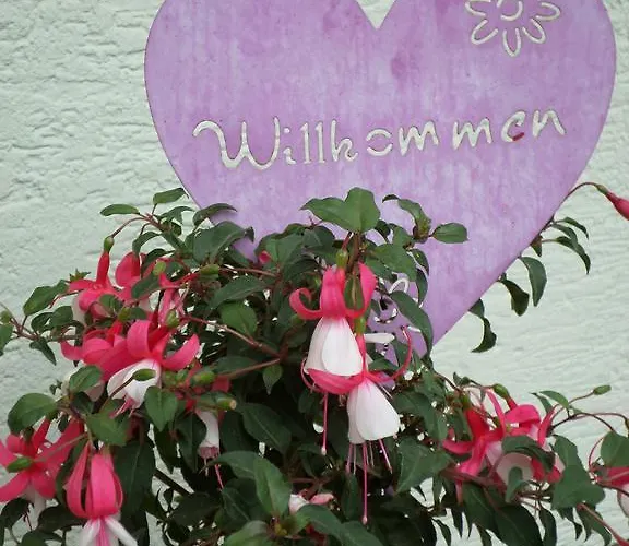 Gaestehaus Huber Fruehstueckspension Schladming